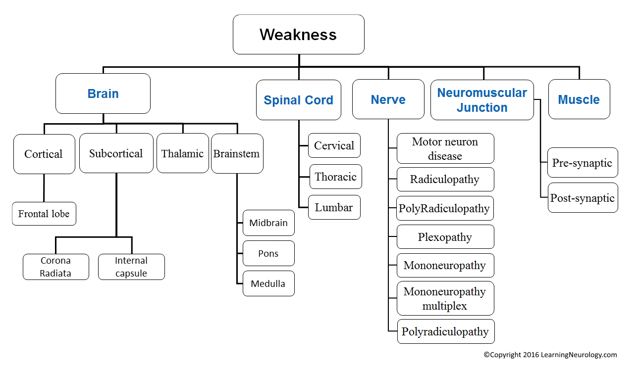 algorithm for approach to weakness localization